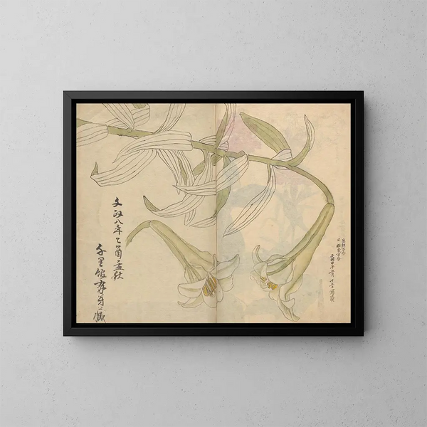 Carnet de croquis Pl012 - Ariyoshi Kondo — kehystetty taideteos seinällä