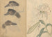 Ariyoshi Kondo - Maalaus luonnosvihko Pl014 — näkymä teoksesta