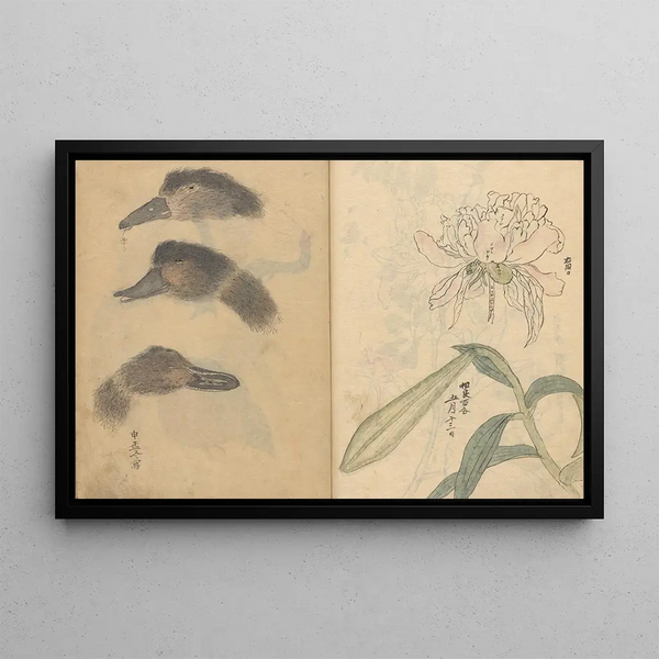 Ariyoshi Kondo - Sketchbook Pl014.webp