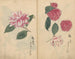 Carnet de croquis Pl017 - Ariyoshi Kondo — näkymä teoksesta