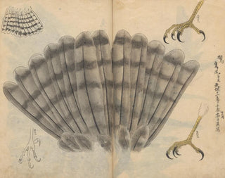 Ariyoshi Kondo - Sketchbook Pl021.webp