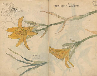 Ariyoshi Kondo - Sketchbook Pl025.webp