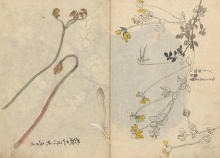Ariyoshi Kondo - Sketchbook Pl026.webp