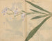 Carnet de croquis Pl031 - Ariyoshi Kondo — näkymä teoksesta
