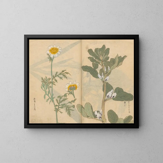 Ariyoshi Kondo - Sketchbook Pl036.webp