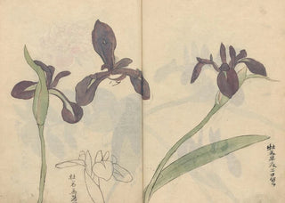 Ariyoshi Kondo - Sketchbook Pl037.webp