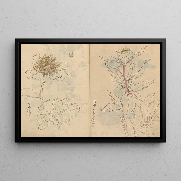 Ariyoshi Kondo - Sketchbook Pl040.webp