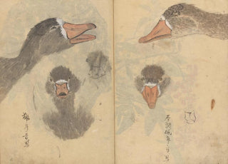 Ariyoshi Kondo - Sketchbook Pl041.webp