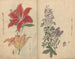 Carnet de croquis Pl046 - Ariyoshi Kondo — näkymä teoksesta