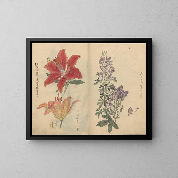 Carnet de croquis Pl046 - Ariyoshi Kondo — kehystetty taideteos seinällä