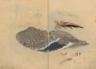 Ariyoshi Kondo - Sketchbook Pl047.webp