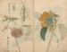 Carnet de croquis Pl048 - Ariyoshi Kondo — näkymä teoksesta