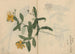 Ariyoshi Kondo luonnosvihko Maalaus Pl052 — näkymä teoksesta