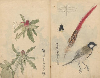 Carnet de croquis Pl053 - Ariyoshi Kondo — näkymä teoksesta
