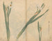 Carnet de croquis Pl058 - Ariyoshi Kondo — näkymä teoksesta