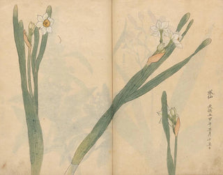 Ariyoshi Kondo - Sketchbook Pl058.webp