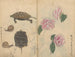 Carnet de croquis Pl060 - Ariyoshi Kondo — näkymä teoksesta
