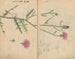 Carnet de croquis Pl062 - Ariyoshi Kondo — näkymä teoksesta