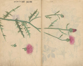Ariyoshi Kondo - Sketchbook Pl062.webp