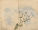 Carnet de croquis Pl063 - Ariyoshi Kondo — näkymä teoksesta