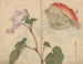 Carnet de croquis Pl066 - Ariyoshi Kondo — näkymä teoksesta