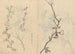 Muistiinpanopohja Pl067 - Ariyoshi Kondo — näkymä teoksesta