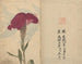 Carnet de croquis Pl068 - Ariyoshi Kondo — näkymä teoksesta