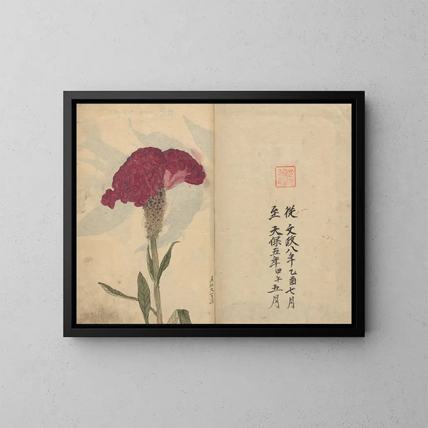 Carnet de croquis Pl068 - Ariyoshi Kondo — kehystetty taideteos seinällä
