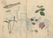 Ariyoshi Kondo - Maalaus luonnosvihko Pl069 — näkymä teoksesta