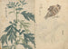 Ariyoshi Kondo - Maalaus luonnosvihko Pl070 — näkymä teoksesta