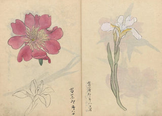 Ariyoshi Kondo - Sketchbook Pl071.webp