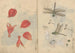 Ariyoshi Kondo luonnosvihko Maalaus Pl076 — näkymä teoksesta