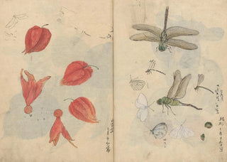 Ariyoshi Kondo - Sketchbook Pl076.webp