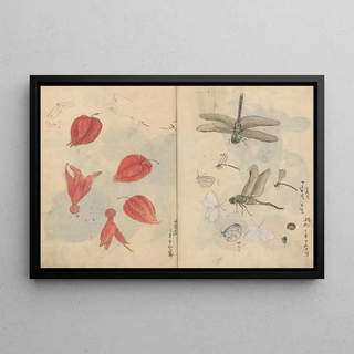 Ariyoshi Kondo - Sketchbook Pl076.webp