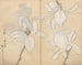 Carnet de croquis Pl077 - Ariyoshi Kondo — näkymä teoksesta