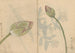 Muistiinpanovälinekansio Pl078 - Ariyoshi Kondo — näkymä teoksesta