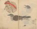 Carnet de croquis Pl081 - Ariyoshi Kondo — näkymä teoksesta