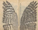 Carnet de croquis Pl082 - Ariyoshi Kondo — näkymä teoksesta