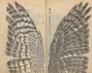 Ariyoshi Kondo - Sketchbook Pl082.webp