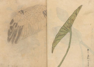 Ariyoshi Kondo - Sketchbook Pl084.webp