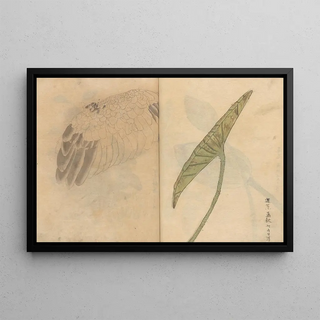 Ariyoshi Kondo - Sketchbook Pl084.webp