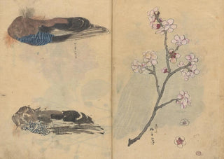 Ariyoshi Kondo - Sketchbook Pl086.webp