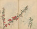 Carnet de croquis Pl090 - Ariyoshi Kondo — näkymä teoksesta