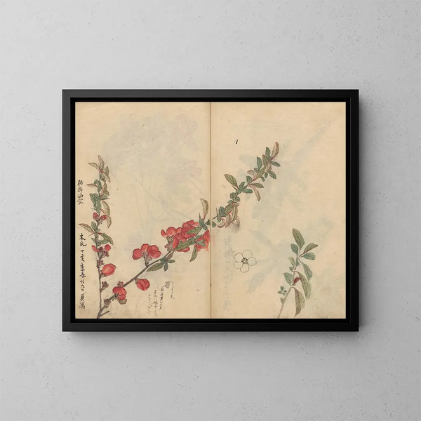 Carnet de croquis Pl090 - Ariyoshi Kondo — kehystetty taideteos seinällä