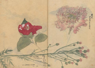 Ariyoshi Kondo - Sketchbook Pl094.webp