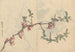 Ariyoshi Kondo - Maalaus luonnosvihko Pl096 — näkymä teoksesta