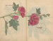 Carnet de croquis Pl097 - Ariyoshi Kondo — näkymä teoksesta
