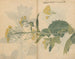 Carnet de croquis Pl099 - Ariyoshi Kondo — näkymä teoksesta