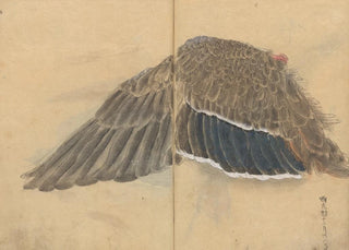 Ariyoshi Kondo - Sketchbook Pl102.webp