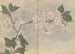 Ariyoshi Kondo - Maalaus luonnosvihko Pl105 — näkymä teoksesta